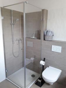 La salle de bains est pourvue d'une douche et de toilettes. dans l'établissement Storchenblick-No-1, à Winsen
