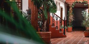 Zahrada ubytování CASA MAYES