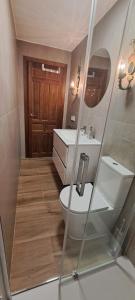 La salle de bains est pourvue de toilettes et d'un lavabo. dans l'établissement Apartamentos Callejón de Recogidas 2, à Tolède