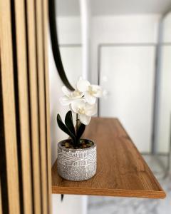 een vaas met witte bloemen op een houten tafel bij Lili Rose Mandre Luxury Apartments in Mandre