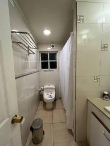 La petite salle de bains est pourvue d'une douche et de toilettes. dans l'établissement Casa con inmejorable ubicación, à Concepción