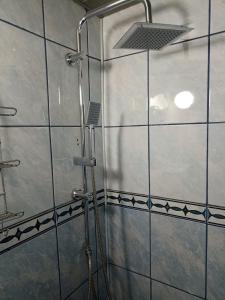 a shower with a glass door in a bathroom at Mini Garsonjera in Podgorica