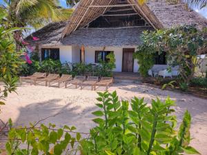 基萬嘎的住宿－Villa NOAH BEACH ZANZIBAR，海滩上的带椅子的度假村和建筑