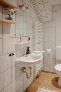 a bathroom with a sink and a toilet at Staudingerhof in Staudach-Egerndach