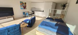 ein Wohnzimmer mit 2 blauen Sofas und einem Flachbild-TV in der Unterkunft Studio Avant-Scène in Neuenburg