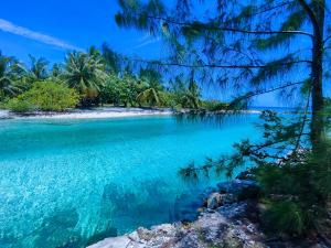 une île dans l'océan avec des palmiers et de l'eau bleue dans l'établissement Blue Lagoon Villa, à Avatoru