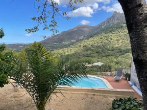 una piscina con vistas a la montaña en Casa Leca de caractère piscine chauffée privée classée 4 étoiles en Feliceto