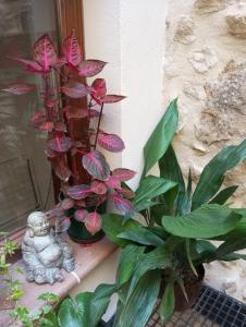 un grupo de plantas en el alféizar de una ventana con una estatua en L'esgorfa d'Arnes, en Arnes