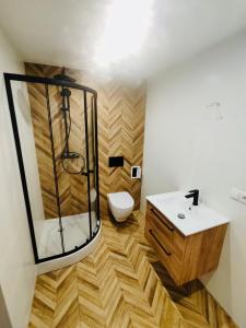 a bathroom with a shower and a toilet at Apartament Zatorze in Olsztyn