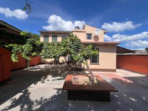 a bonsai tree in front of a house at Casa Amigable y Confortable in Yacuiba