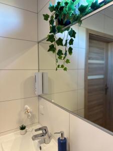 Kúpeľňa v ubytovaní Domki Złote Piaski Kryty Basen Sauna Jacuzzi