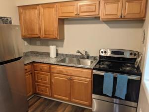 uma pequena cozinha com um fogão e um lavatório em Carter #5 Two bedroom unit near Xavier Downtown em Cincinnati