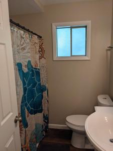 uma casa de banho com um WC e uma cortina de chuveiro em Carter #5 Two bedroom unit near Xavier Downtown em Cincinnati