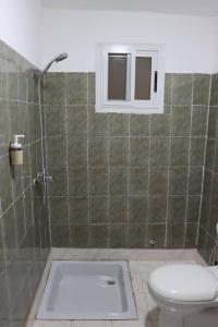 baño con ducha, aseo y ventana en CASA CAMBA MAR en Bissau