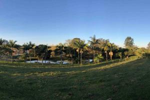 een veld met palmbomen en een hek bij Casa de campo para relaxar em meio à natureza! in Treze de Maio