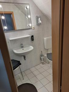 a bathroom with a sink and a toilet at Pension 5 Ferienhof Hanstorf in Satow