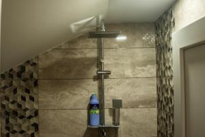 Koupelna v ubytování Apartments Bašić