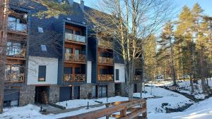 Apartman Perunika D9 - Divčigora v zimě