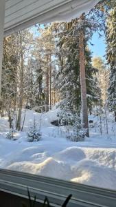 Coloria - kotisi Rovaniemellä, luonnollisesti žiemą