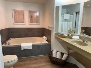 a bathroom with a tub and a toilet and a sink at Foxburg Inn in Emlenton +16 photos