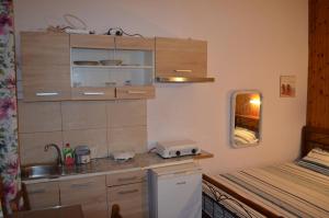 Kuchyň nebo kuchyňský kout v ubytování Nick Apartment + 15 fotografií