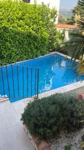 a blue swimming pool with a metal fence at Villa La Miga in Dobra Voda