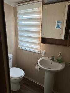 a bathroom with a toilet and a sink and a mirror at Sea view luxury caravan in Filey