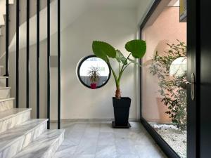 un couloir avec un miroir et une plante en pot dans l'établissement M & M boutique apartments, à Athènes