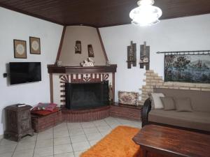a living room with a couch and a fireplace at Elaias Gea -Kalampaka in Kalabaka