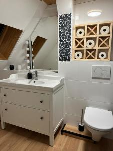 a bathroom with a sink and a toilet at Träumerei Veitsch in Veitsch