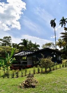 a house with a palm tree in front of it at Glamping La Montañita in Medellín