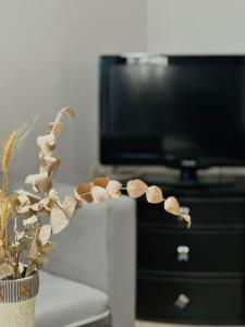 un vase rempli d'arachides assis à côté d'une télévision dans l'établissement Luxury CityCenter Apartment, à Xánthi