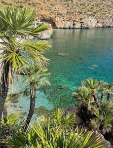 a group of palm trees next to a body of water at MARE e Terra Holiday fronte mare in San Vito lo Capo