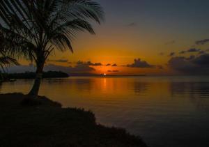 un coucher de soleil sur une étendue d'eau avec un palmier dans l'établissement Les Hauts de Devarieux - Sérénité & Horizon, à Garnier
