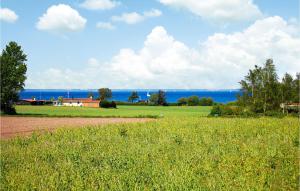a field of grass with the ocean in the background at Beautiful Home In Nordborg With 3 Bedrooms, Sauna And Wifi in Nordborg