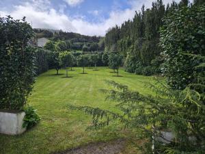 a field of grass with trees in the distance at Casa do Simão in Nordeste