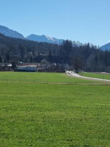 un campo de césped verde con una carretera en la distancia en Ferienwohnungen am Alpenrand en Siegsdorf