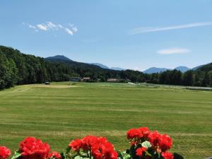 a green field with red flowers and mountains in the background at Ferienwohnungen am Alpenrand in Siegsdorf