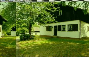 a white house with a tree and a yard at Ferienhaus 17 In Thalfang in Thalfang