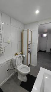 bagno con servizi igienici e lavandino di Joli appartement F2 entièrement rénové a Sélestat
