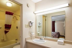 a bathroom with a sink and a mirror at Red Roof Inn Battle Creek in Battle Creek +18 photos