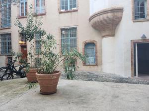 twee grote potplanten voor een gebouw bij L'Elégant in Montauban