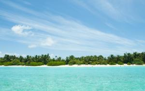 Gallery image of Palm Garden in Thoddoo