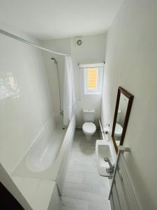 uma casa de banho branca com um WC e um lavatório em Entire Flat in Canary Wharf em Londres