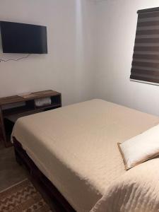 a bedroom with a bed and a desk with a television at Hostal Lodge Wine Colchagua in Nancagua