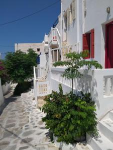 a white building with plants in front of it at Alex oldtown sea view rooms and appartments in Mýkonos City