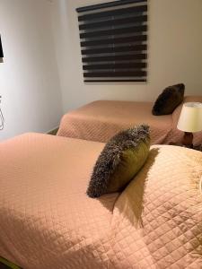 Ein Bett oder Betten in einem Zimmer der Unterkunft Hostal Lodge Wine Colchagua