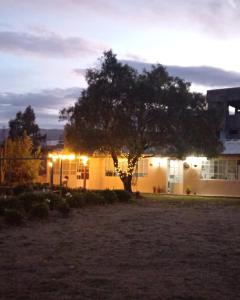 a tree in front of a building with lights at CASAROMERO in Huancayo