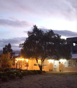 un árbol frente a un edificio con luces en CASAROMERO, en Huancayo