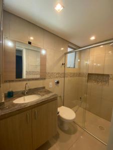 La salle de bains est pourvue de toilettes, d'un lavabo et d'une douche. dans l'établissement Férias na Praia dos Ingleses, à Florianópolis
